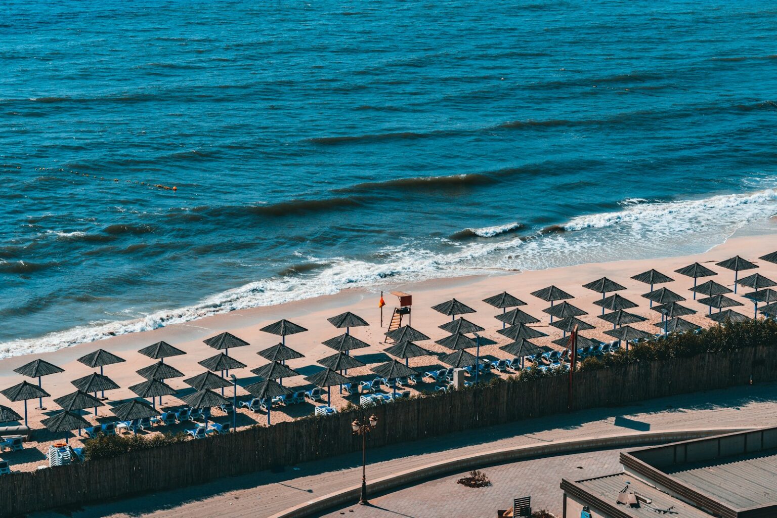 people on beach during daytime